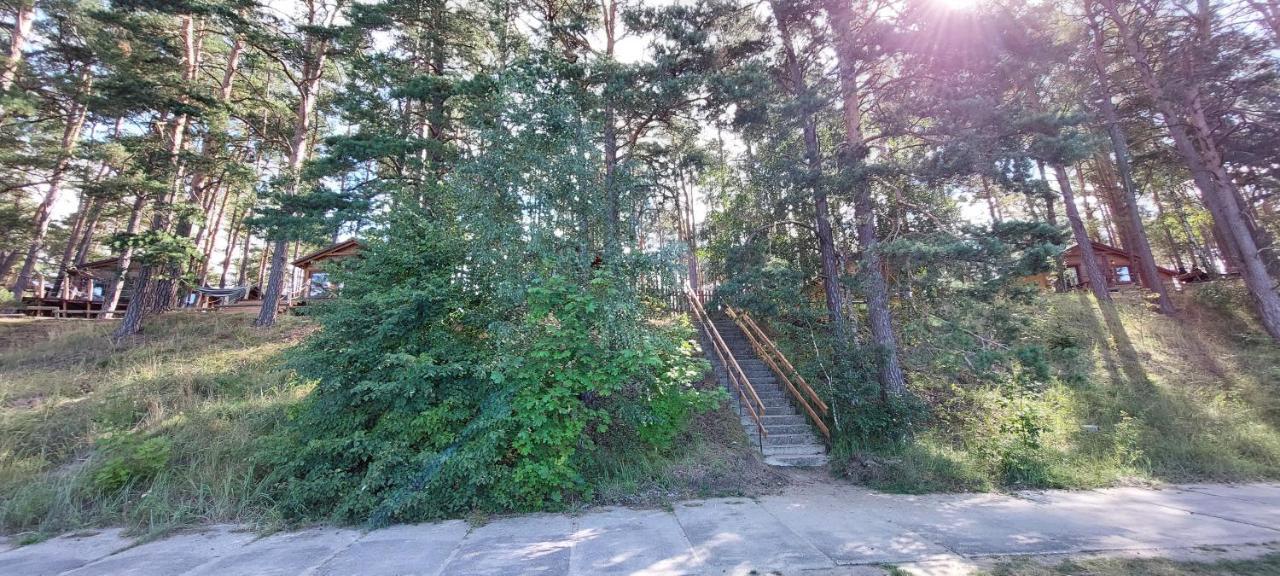 Domek Letniskowy U Marcina I Ani ボルスク エクステリア 写真