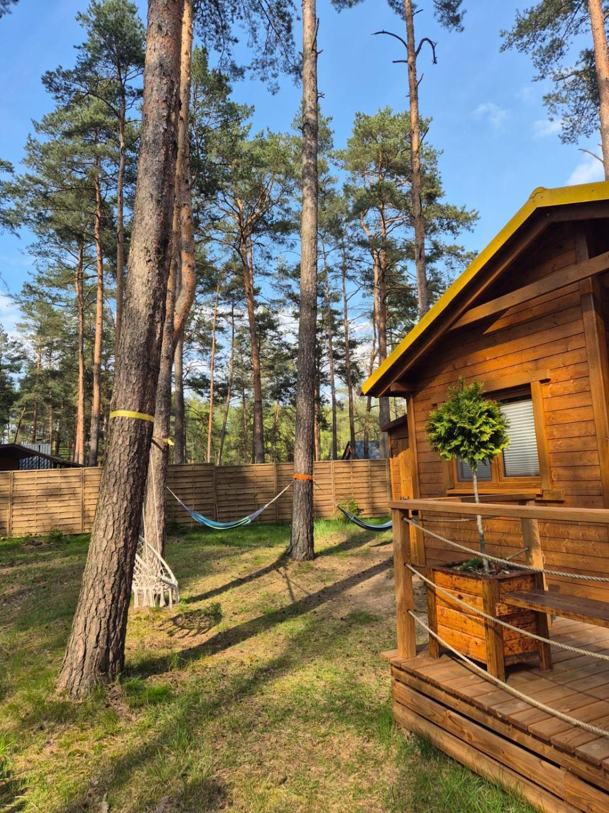 Domek Letniskowy U Marcina I Ani ボルスク エクステリア 写真